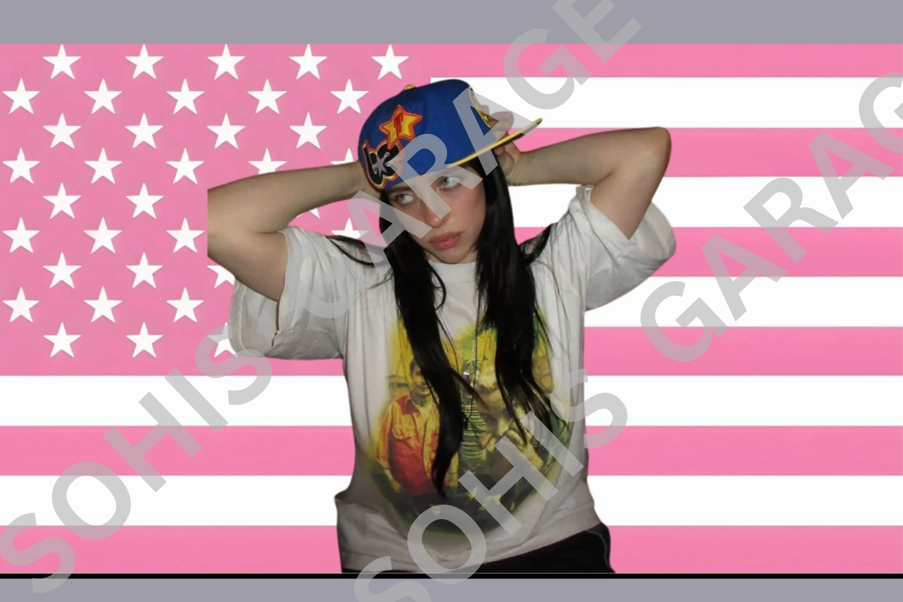 Billie Eilish Flag