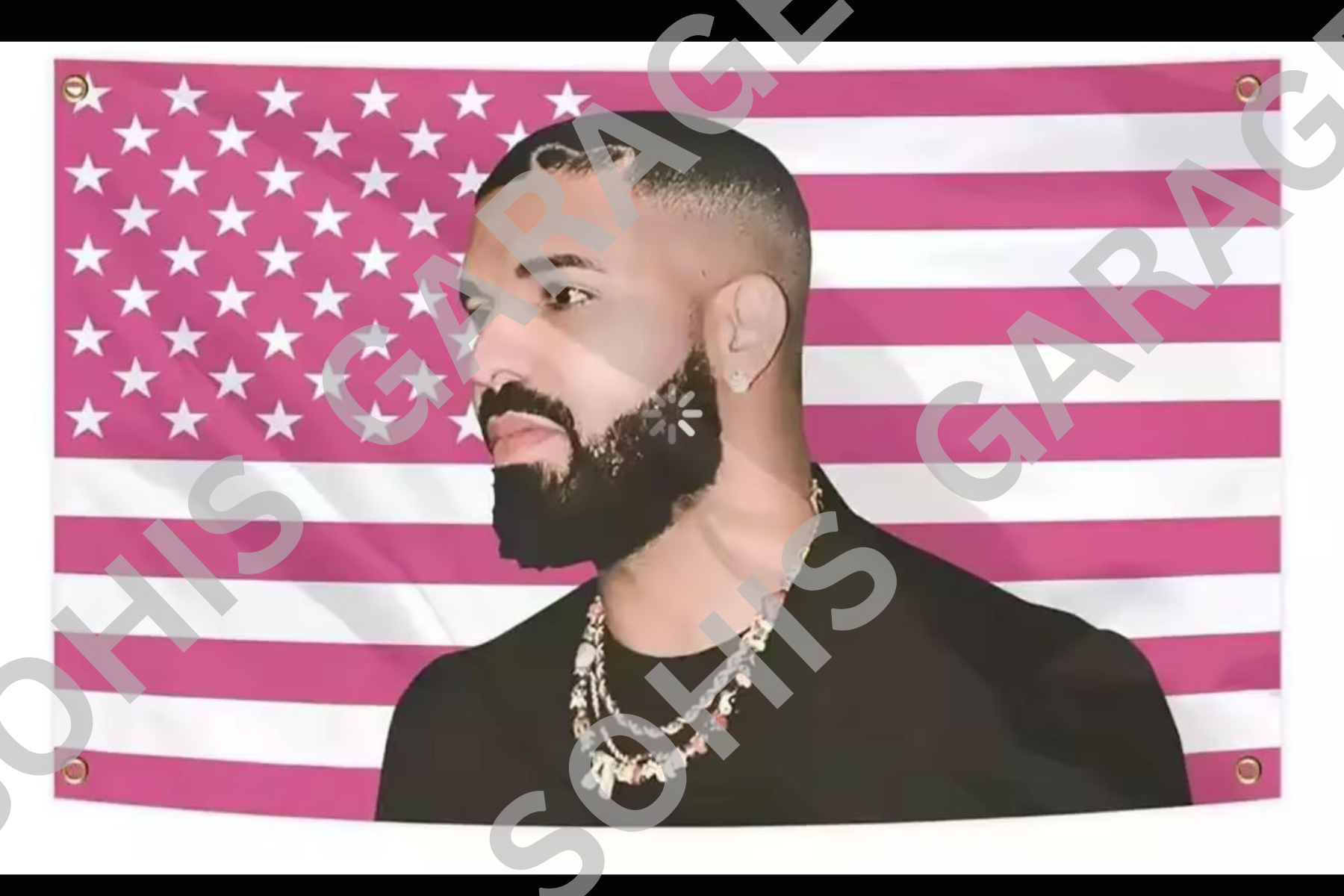 Drake flag 2